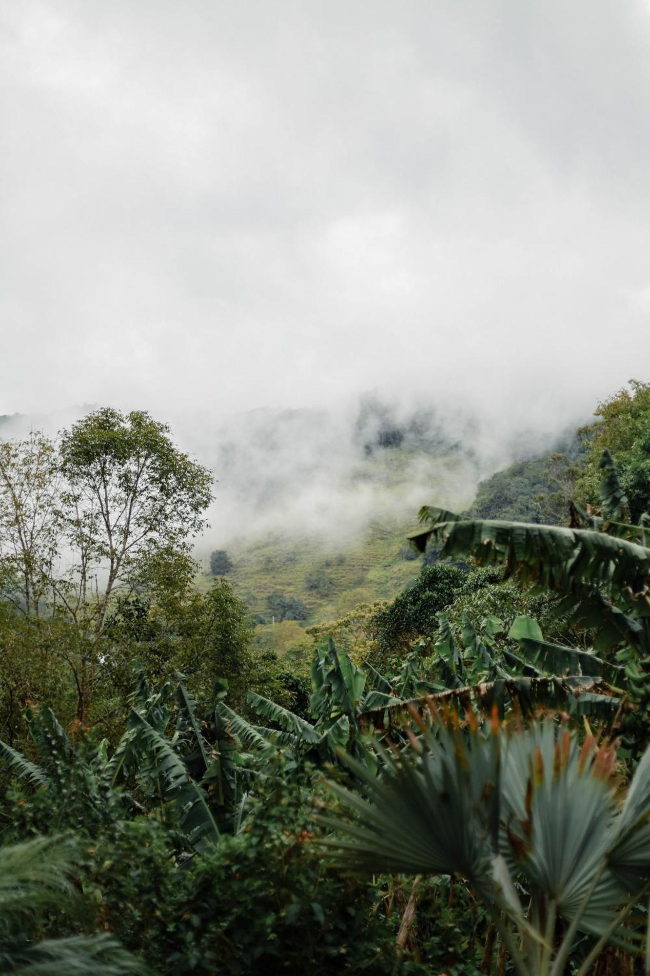 Hotel Cattaleya Eco Yumbo