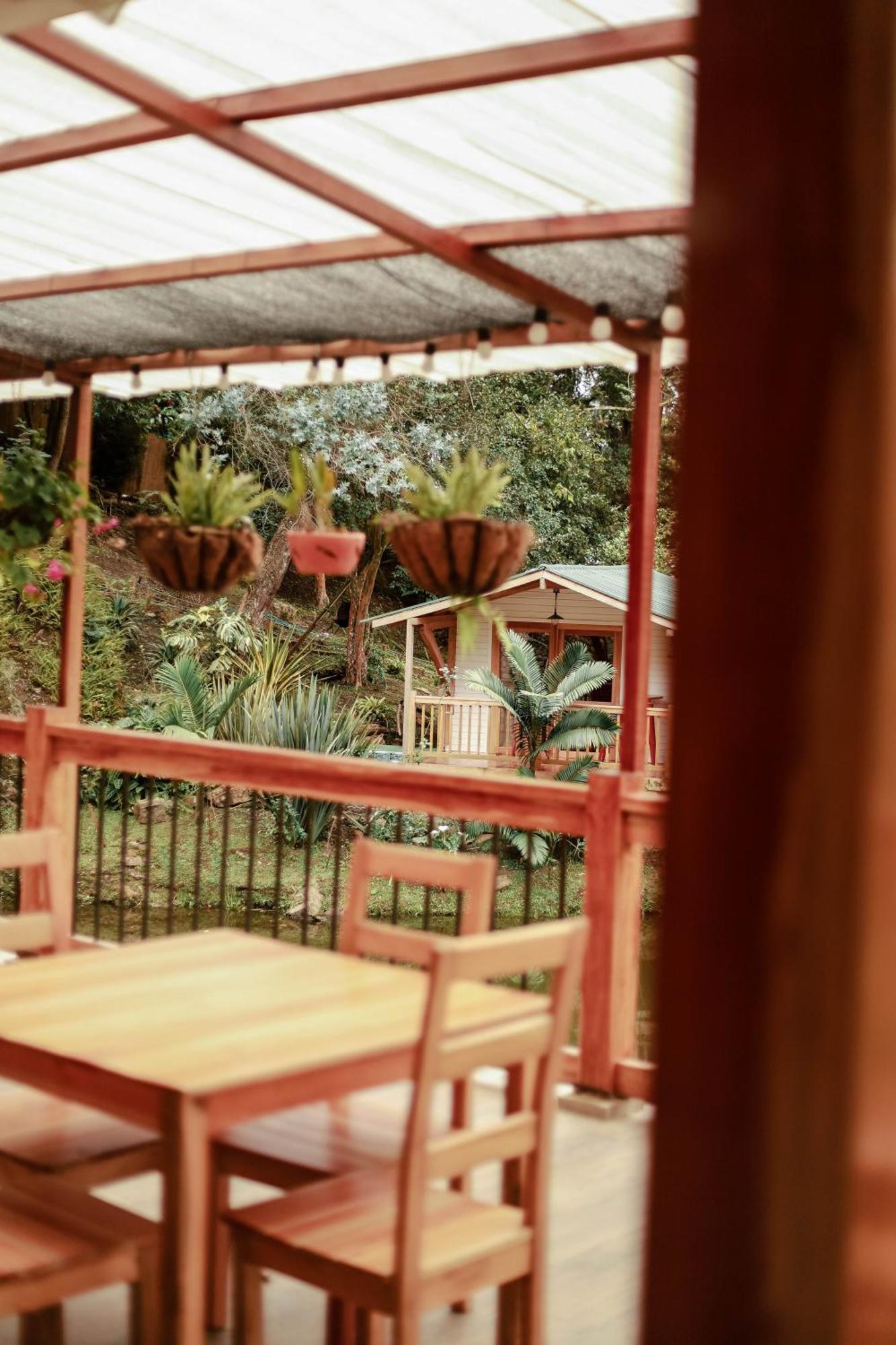 Hotel Cattaleya Eco
