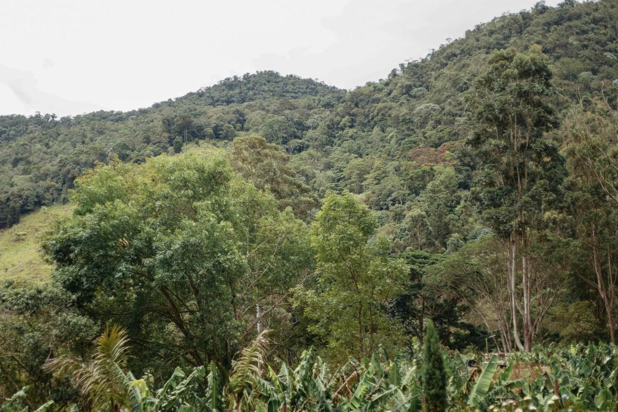 Hotel Cattaleya Eco Yumbo